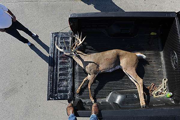 wisconsin giant buck in truck bed aerial